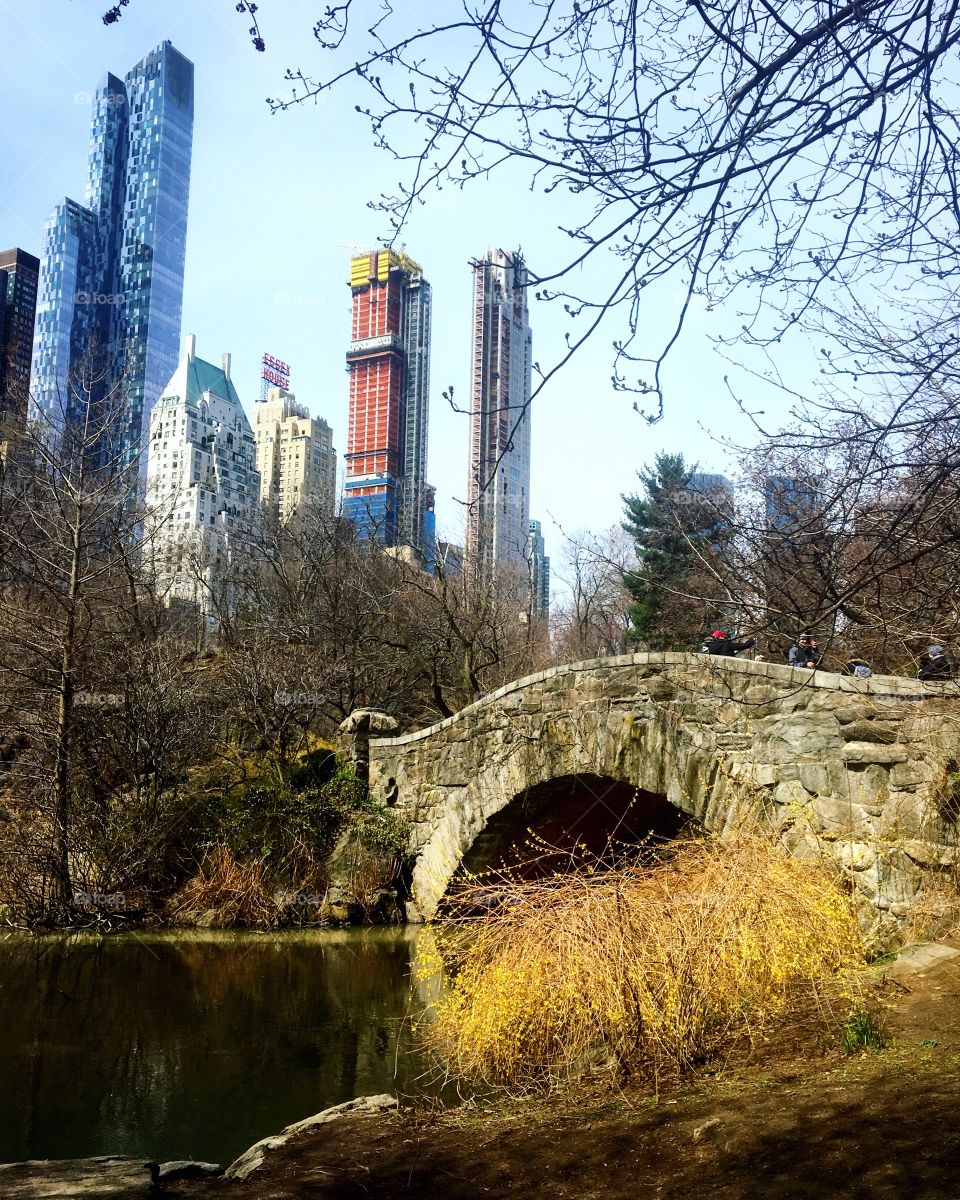Early Spring morning in Central Park, New York City, NY