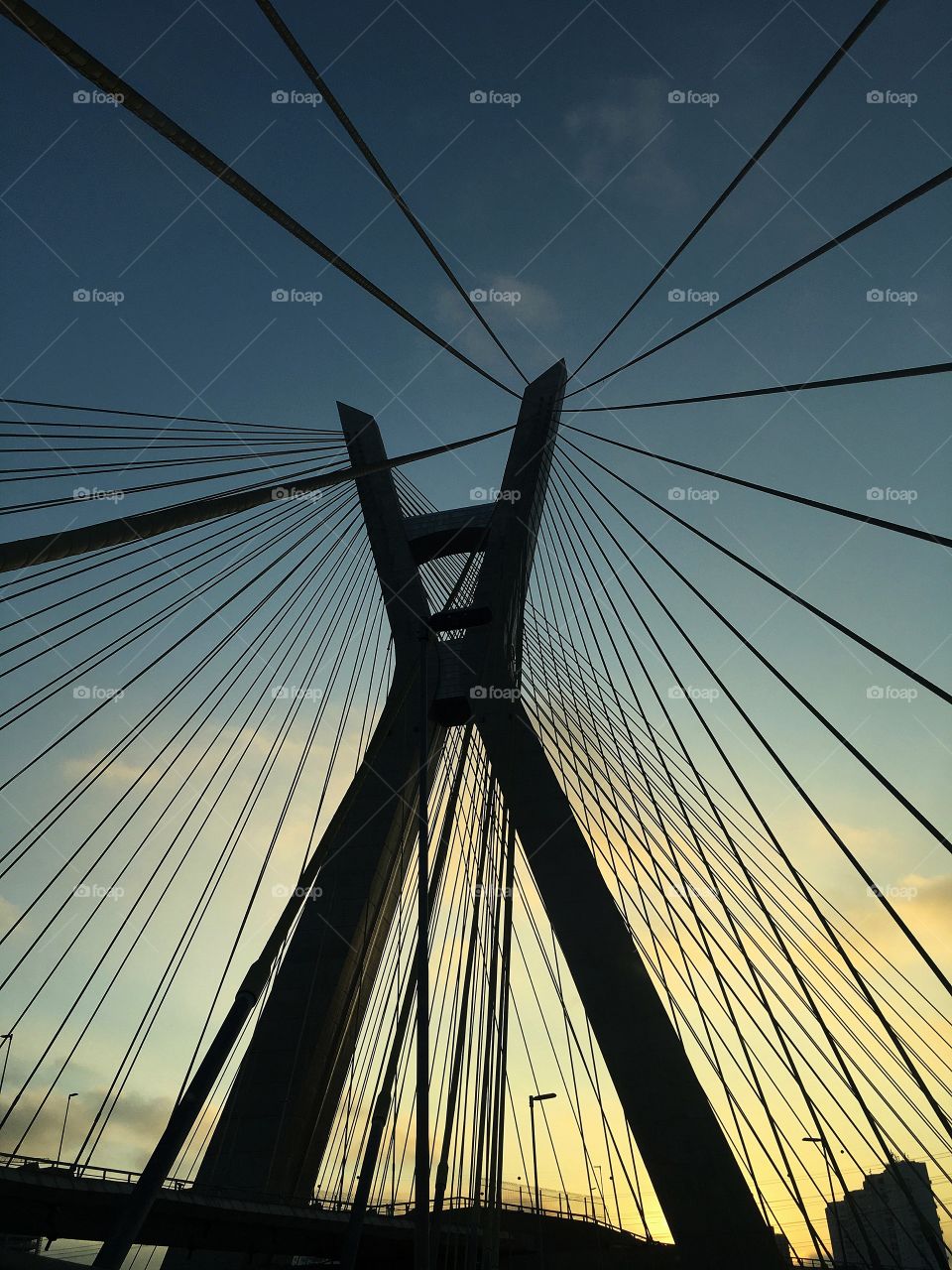 Bridge octavio frias estaiada sp são paulo