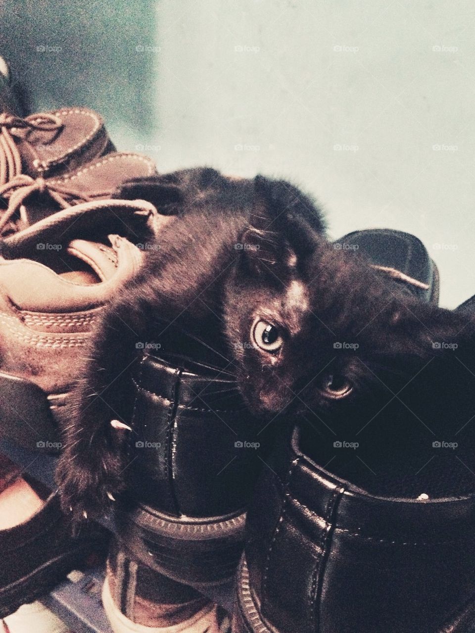 What are you looking at?