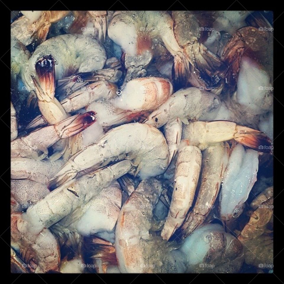 Fresh shrimp 