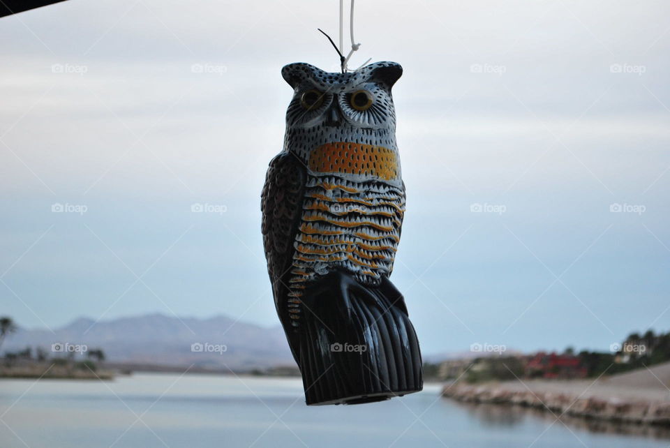 An owl decoration hanging at Las Vegas lake