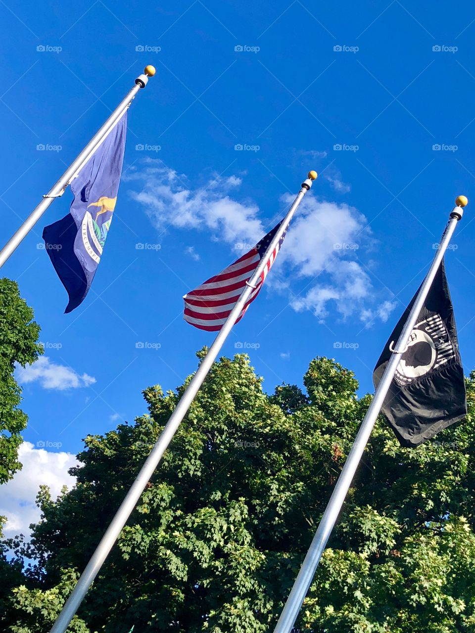 Flag in Plymouth, MI