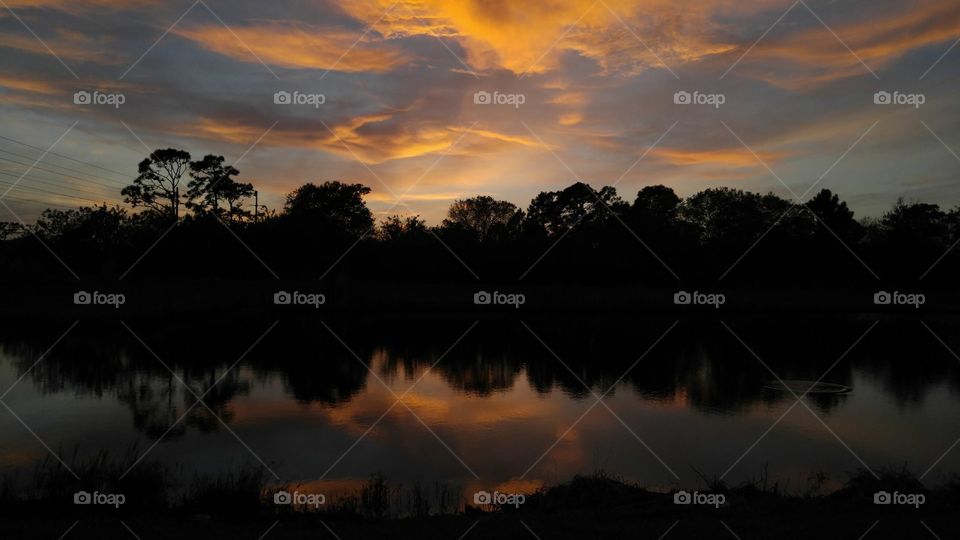 Sunset, Dawn, No Person, Evening, Tree