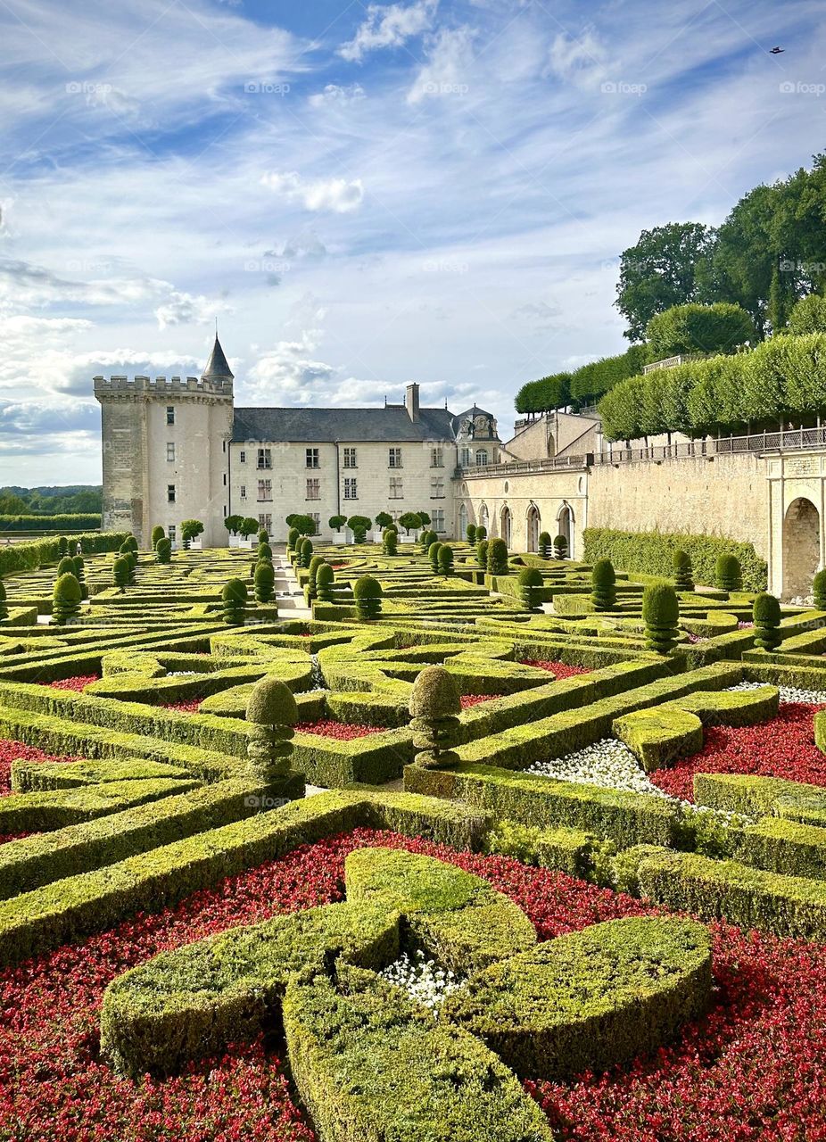 Villandry garden , Jully 2023 . 