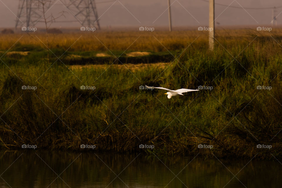 Nature is so beautifull capture it because every moment nature is changed