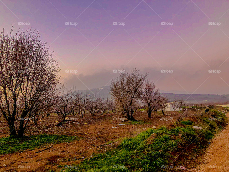 The weather in my village 