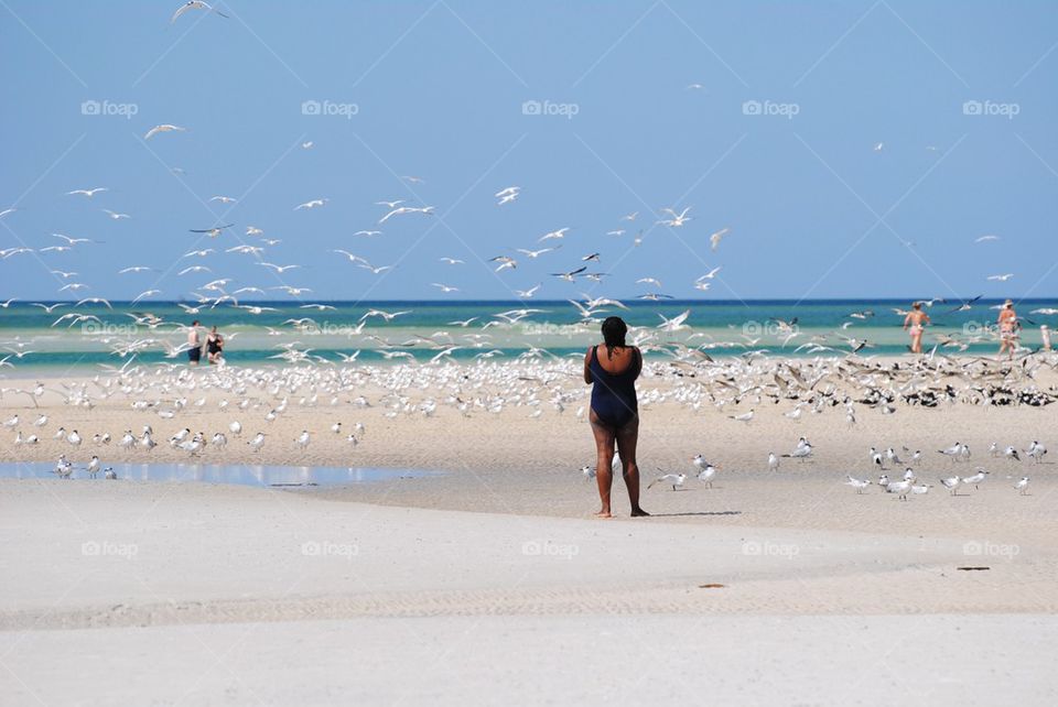 Lady and the birds