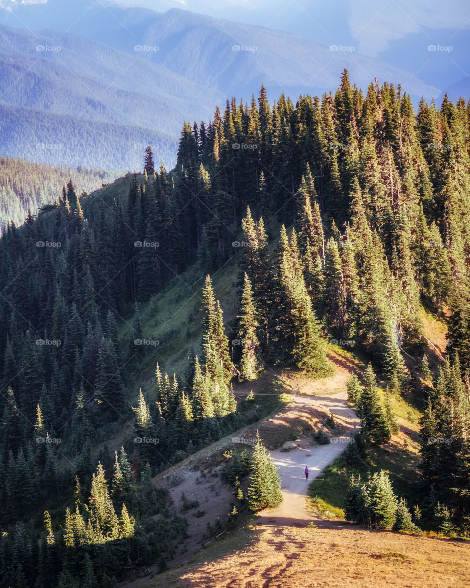 A solo adventurer hiking through a vast landscape of mountains and forest. Tiny person, huge location. 