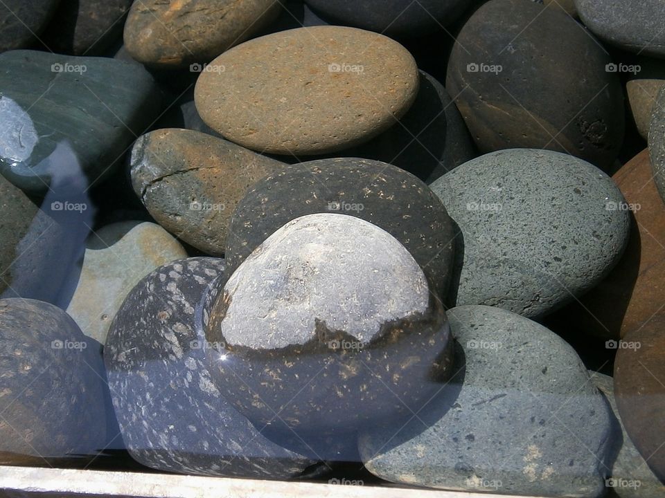 wet rocks