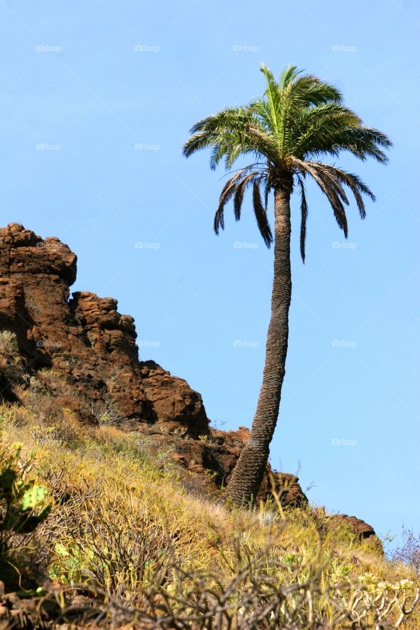 No Person, Tree, Nature, Landscape, Travel