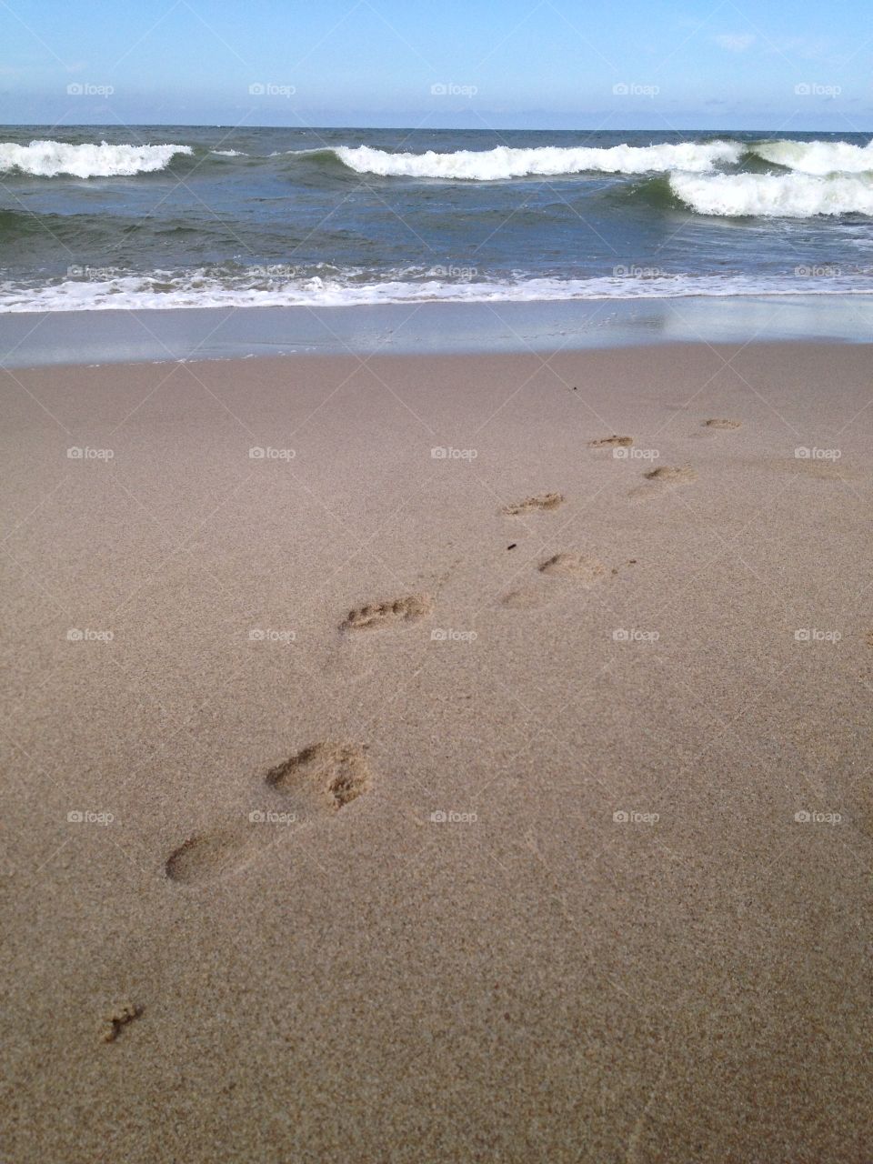 Stepy on sand. Baltic