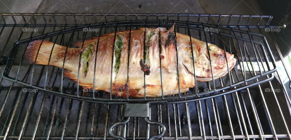 Tilapia on the grill