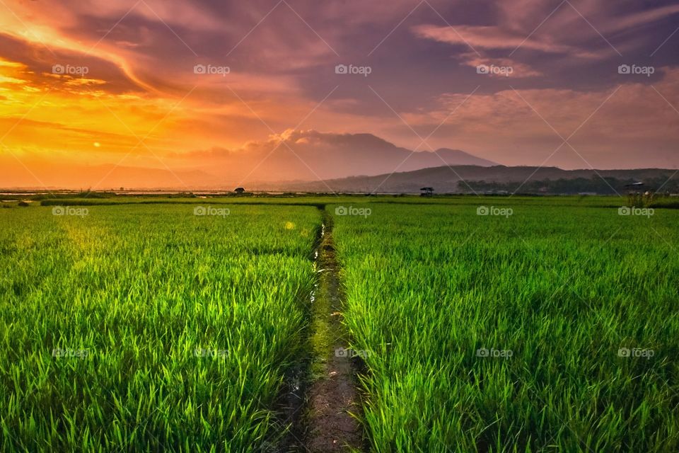 view sunset in indonesia