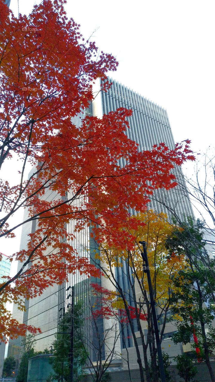 Tokyo business district