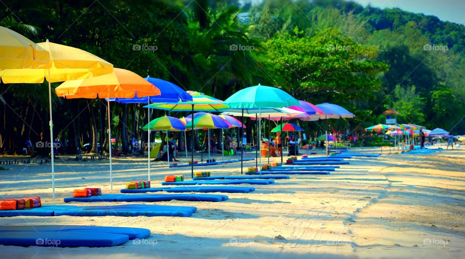 Variety of colors galore with umbrellas on the beach, on a sunny day.