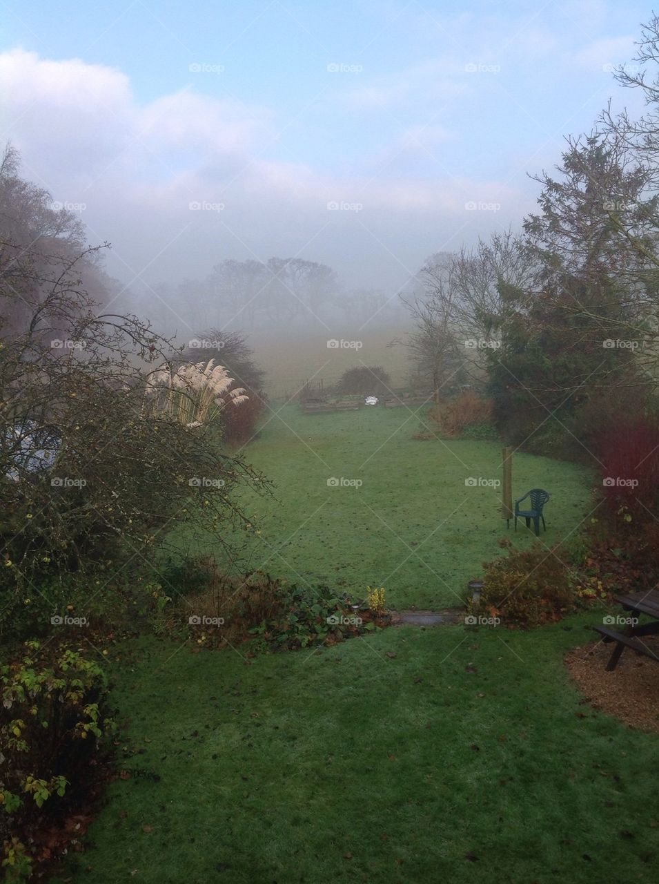 Foggy Garden