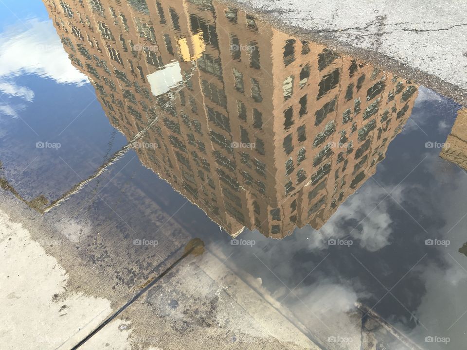 Reflections in Chelsea