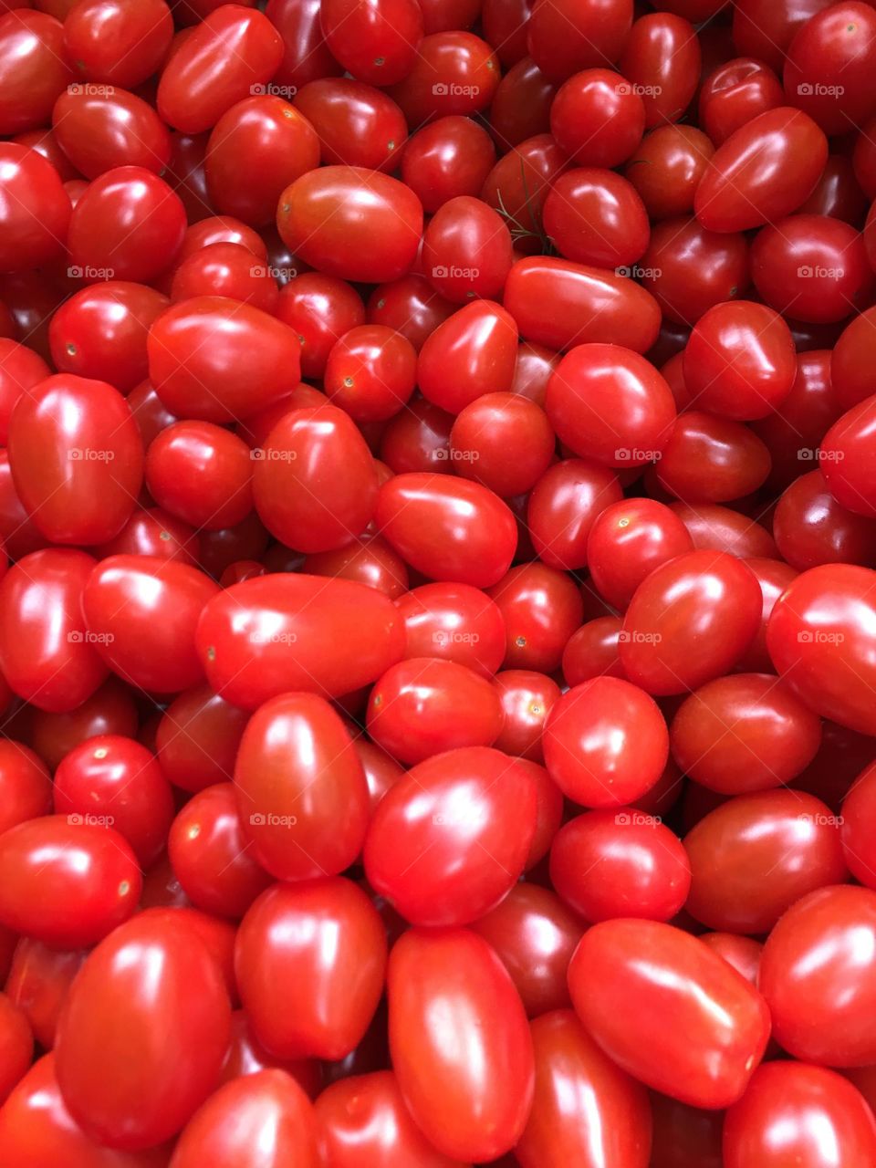 Tomatoes 