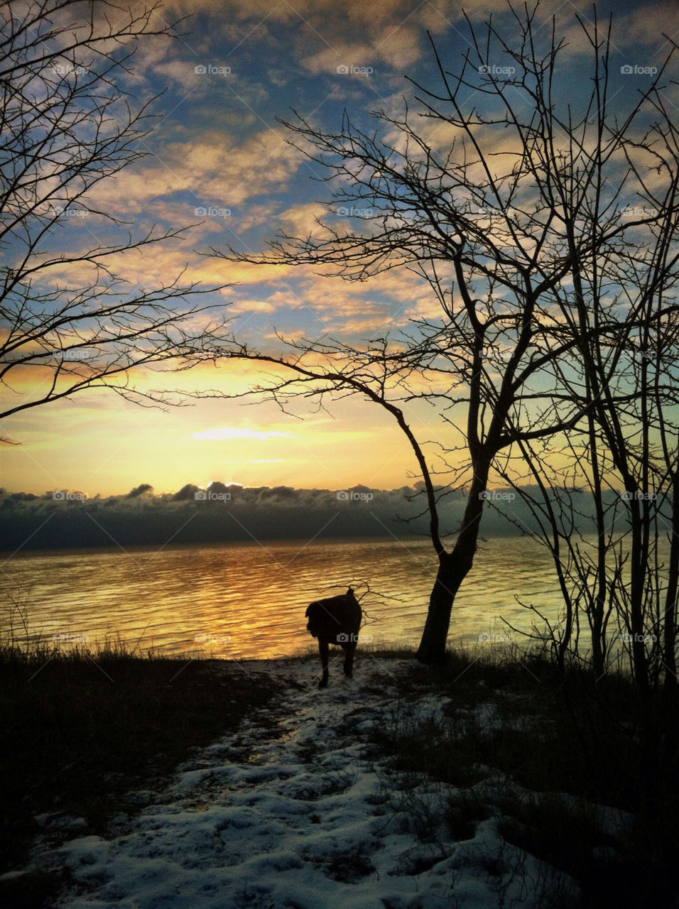 Early Sunday Sunrise in Wisconsin