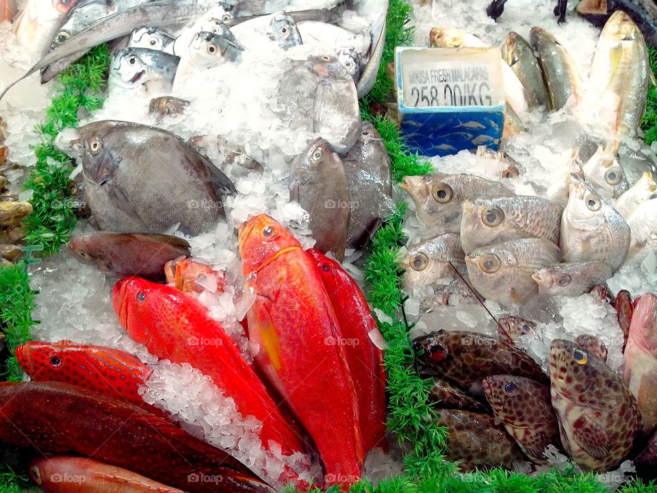 fresh raw fishes. fresh raw fishes sold at a supermarket