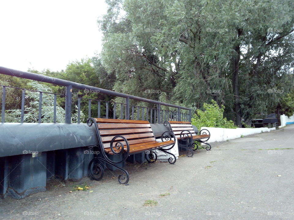 Benches. Peace and quiet