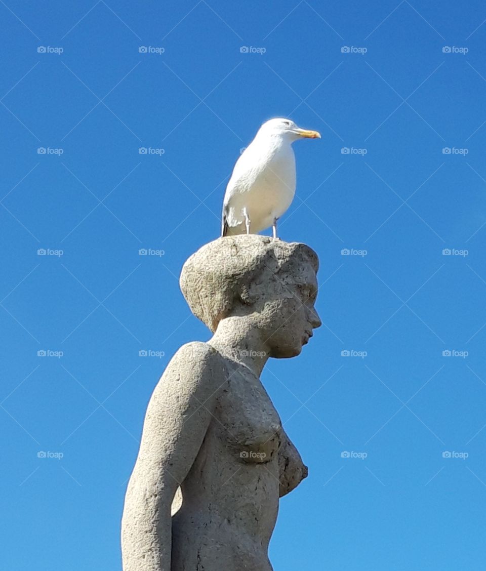 bird on statue in Deauville