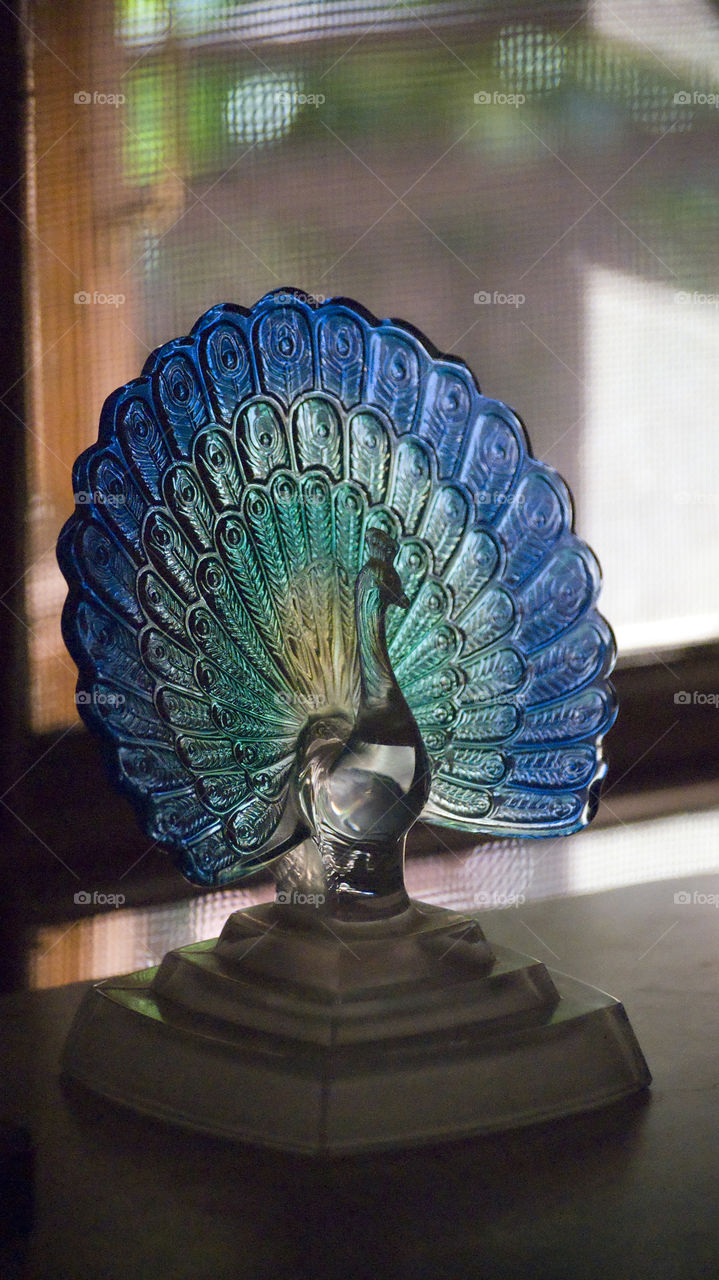 Light adds life even to inanimate objects.