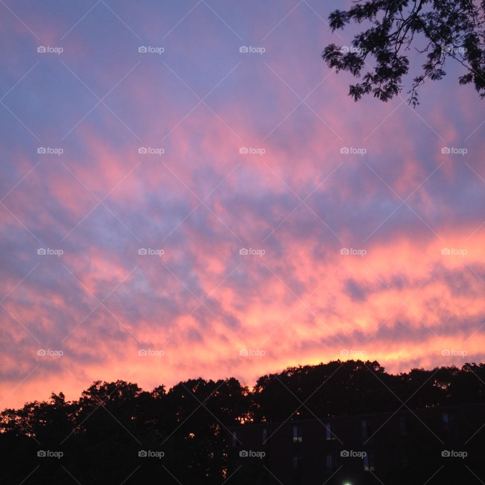 Purple Sunset. Waltham, MA