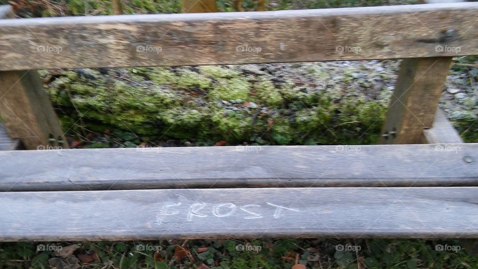 A Frosty Bench