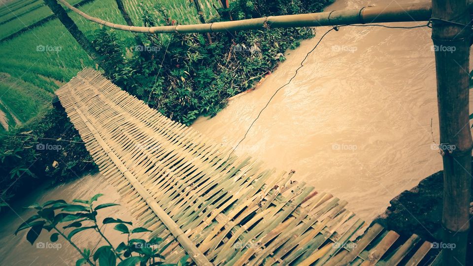 bamboo bridge