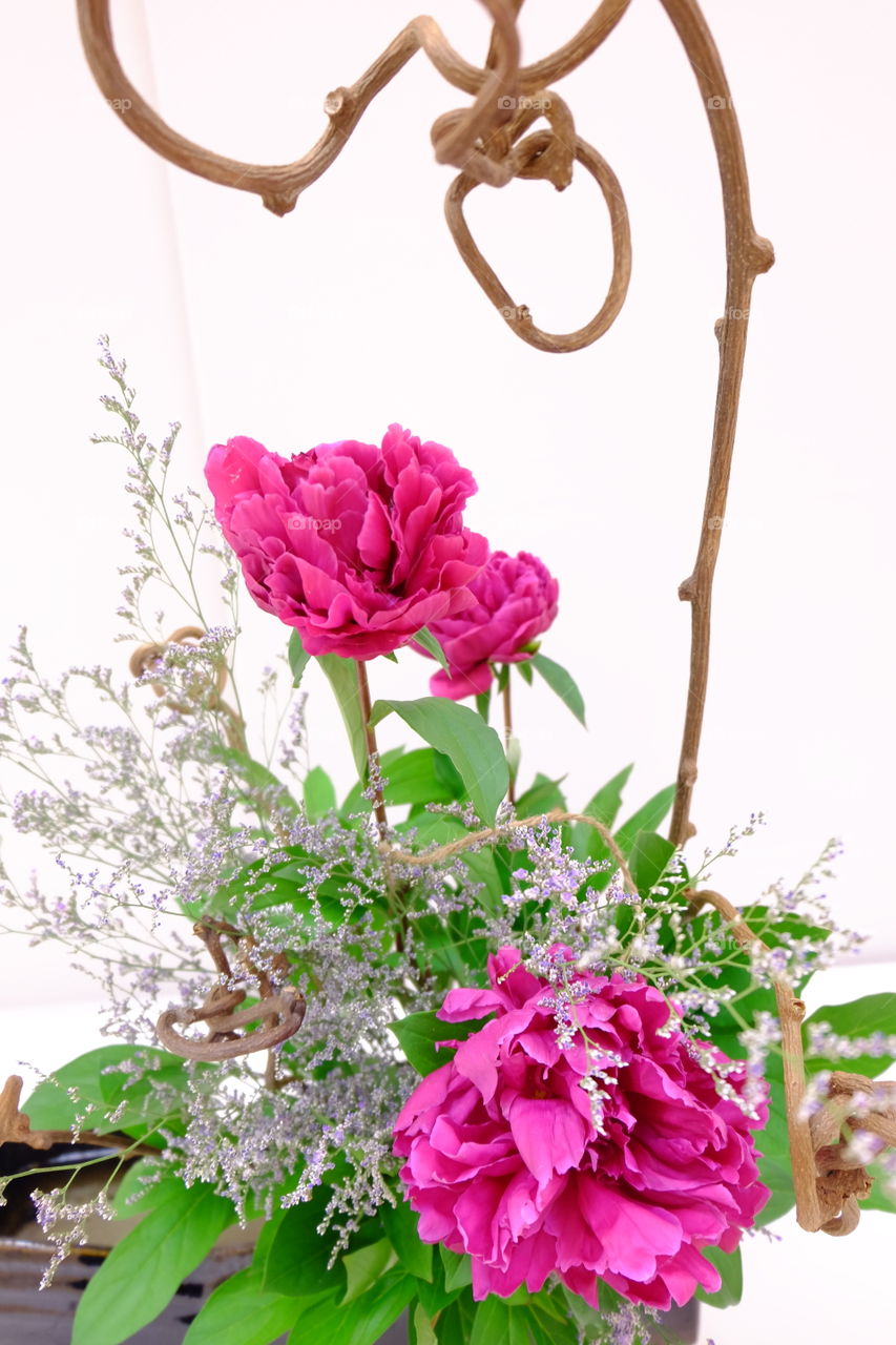 Floral arrangement