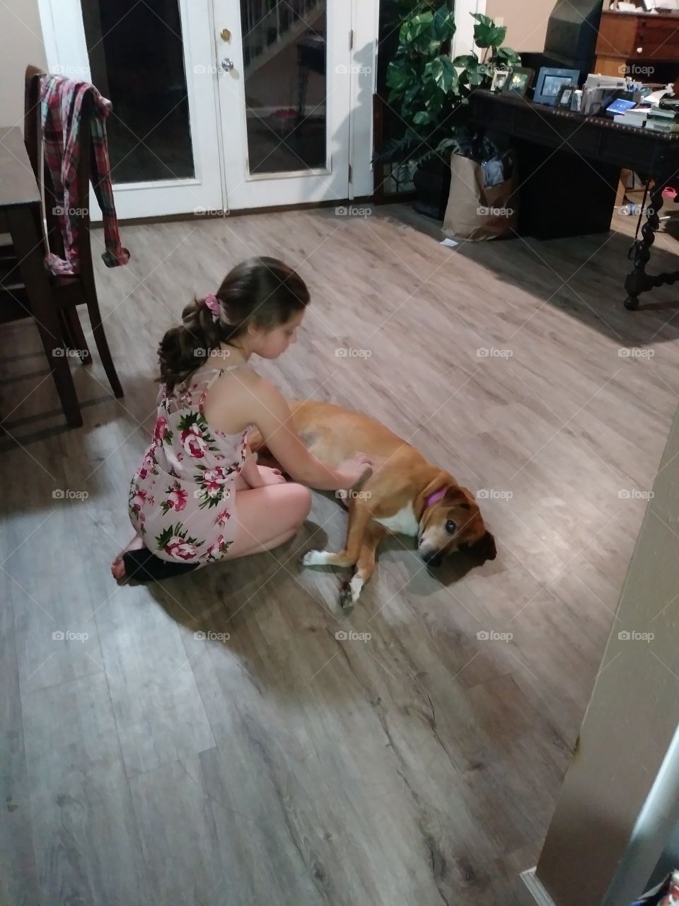 little girl petting her dog
