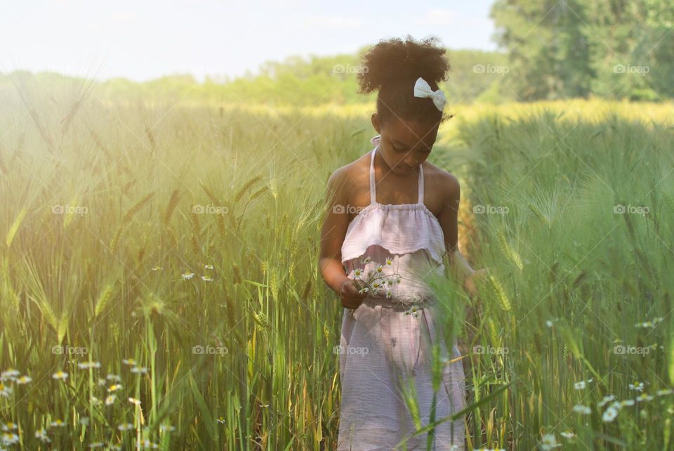 Little girl walking the barley fielden 