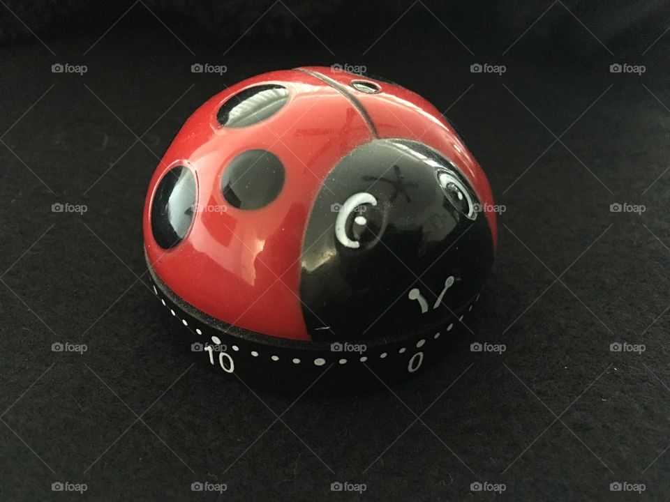 Ladybug timer