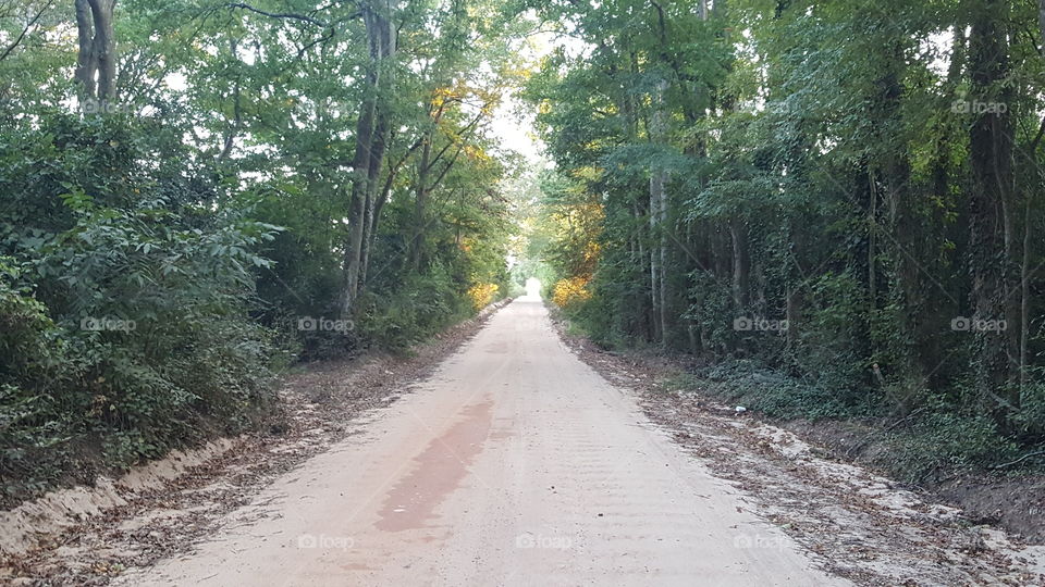 Road to ..... where?