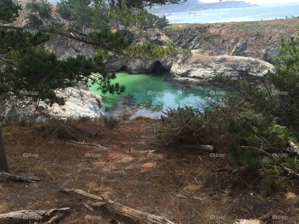 Point Lobos Ocean View