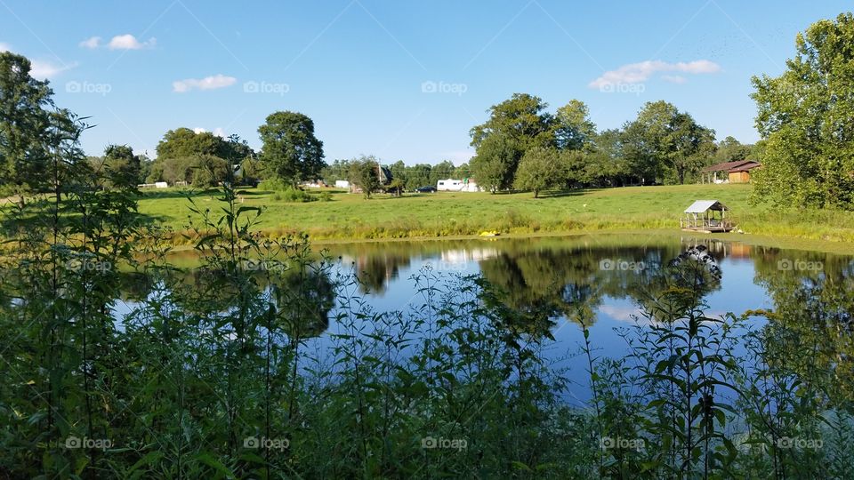 where the family and everyone  enjoy a day on the pond fishing