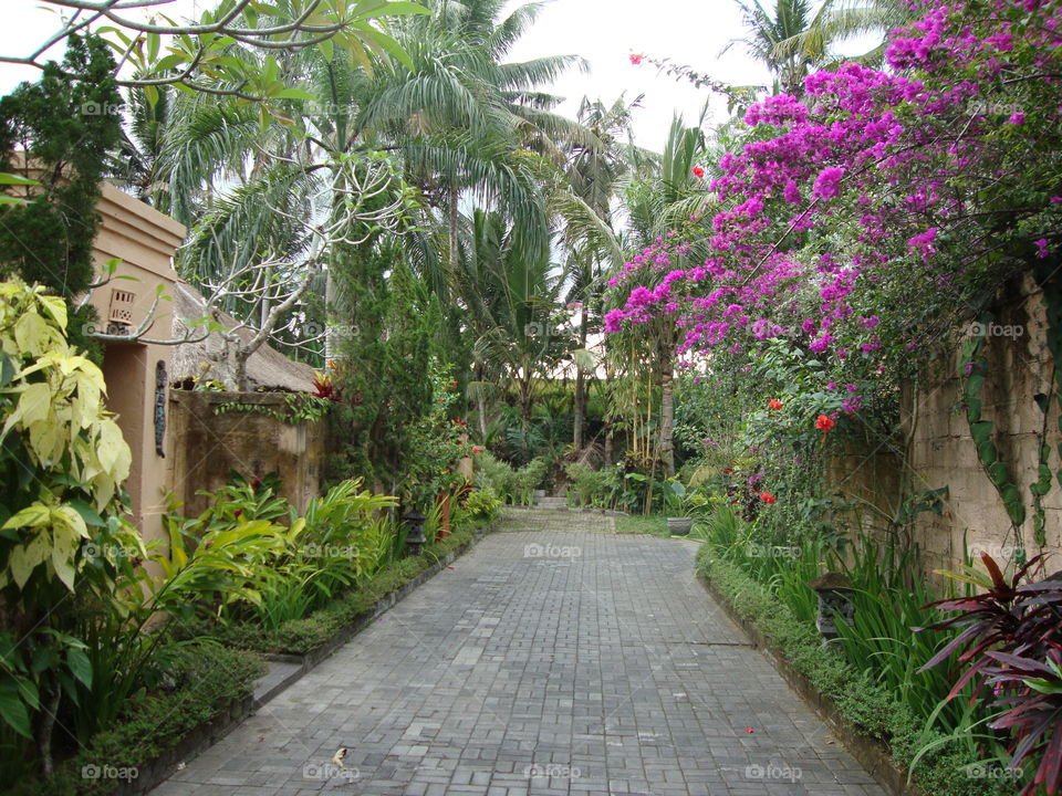 flower garden in ubud