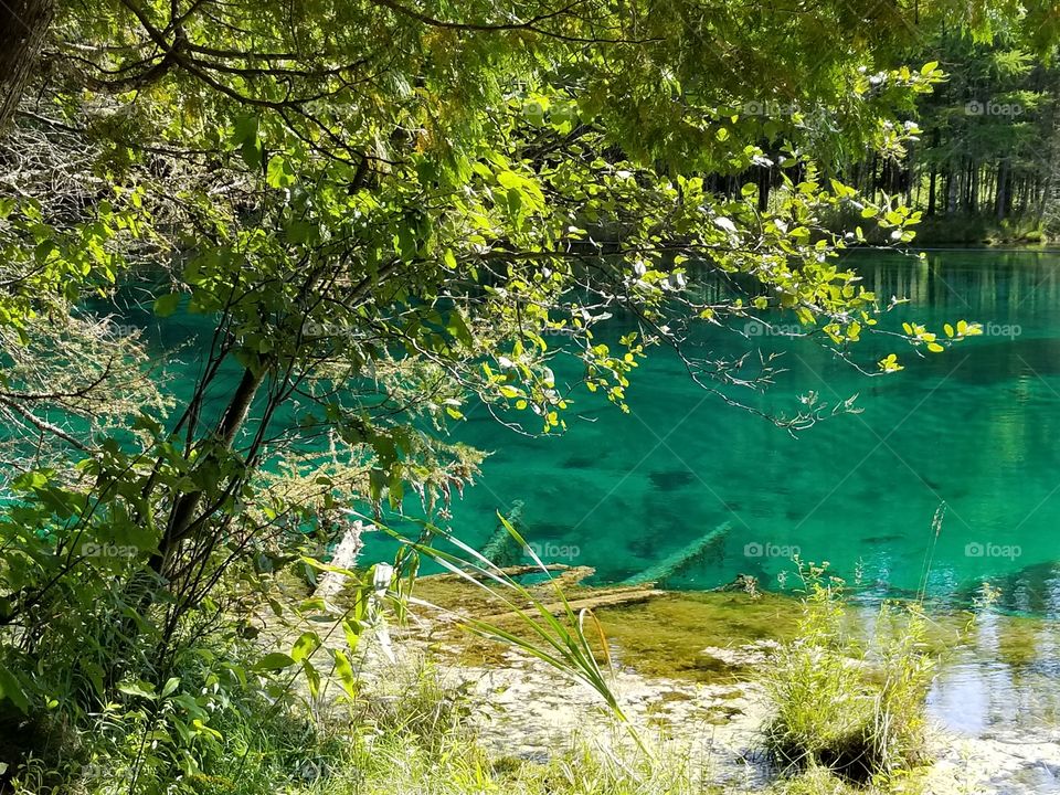 Kitch-iti-kipi Spring