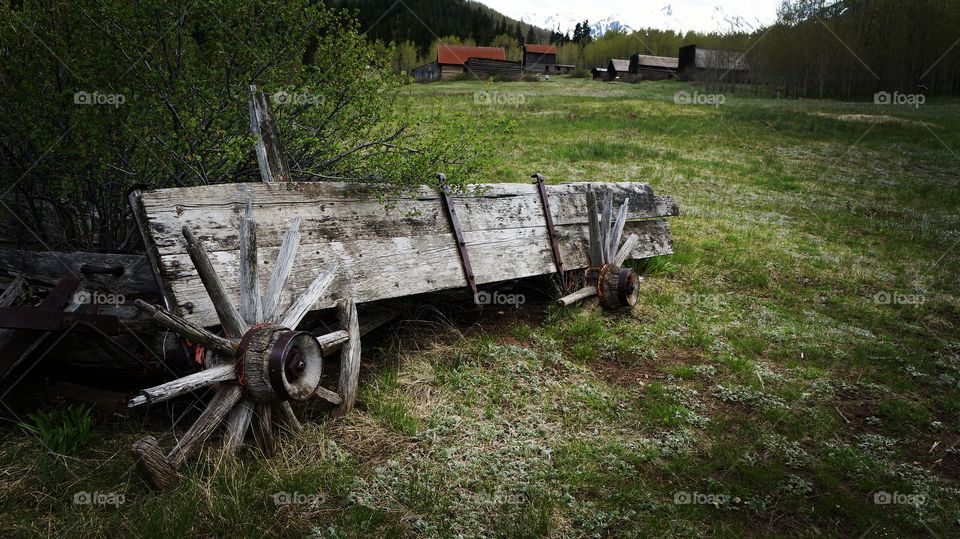 broken cart