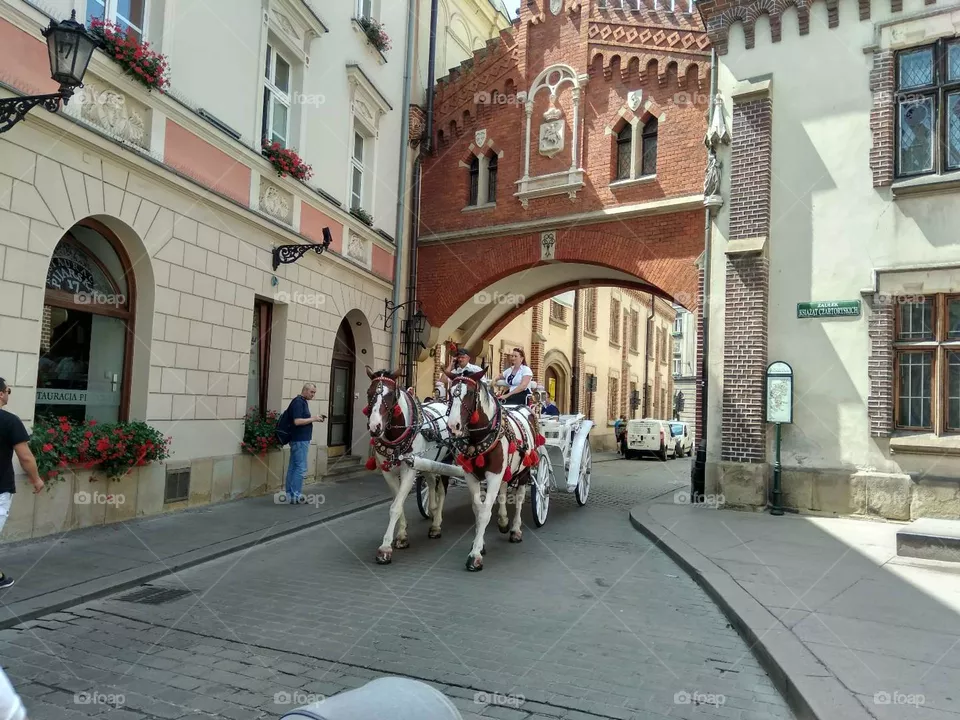 Carriage