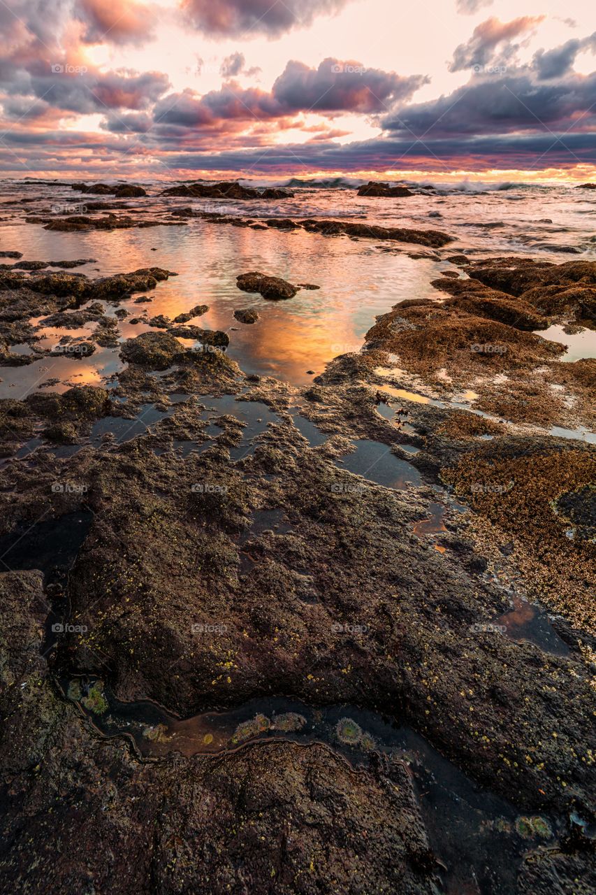 Sunset on the Oregon Coast