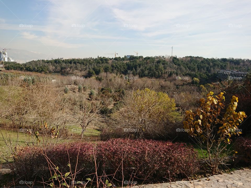 Iran Tehran Park Tabiat