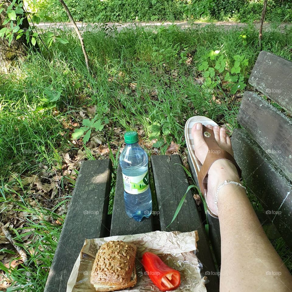 Frühstück im Wald, Breakfast in the forest