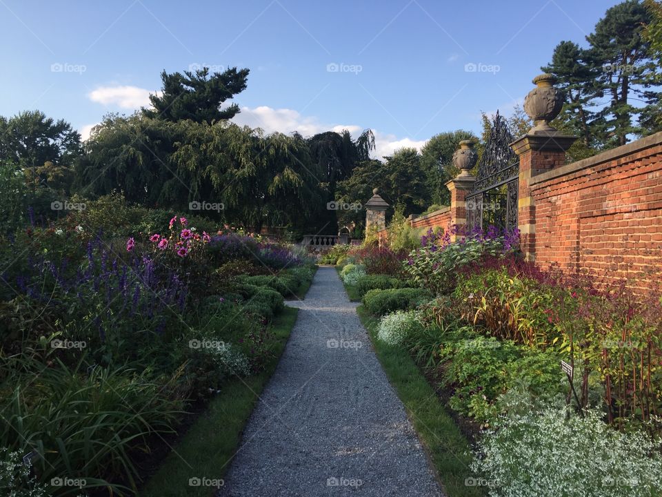 Westbury garden
