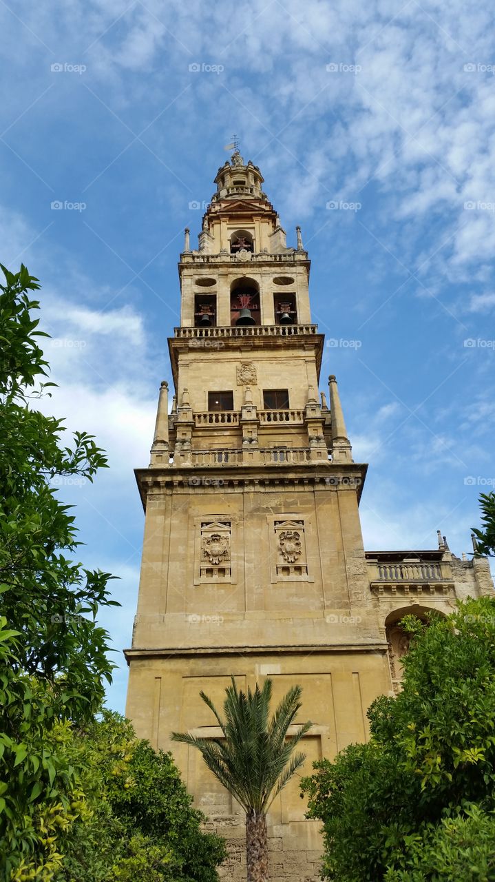 cordoba
