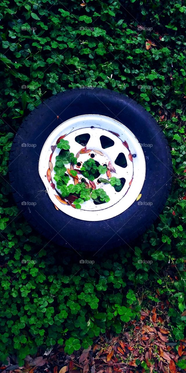 clovers & tire
