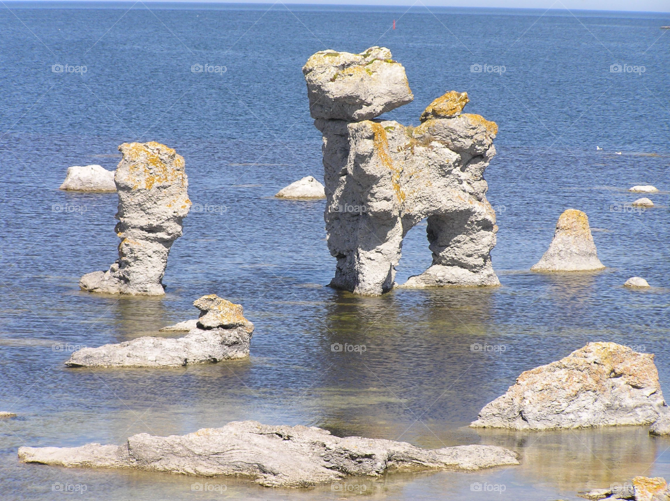 dog sea gotland stone by MagnusPm