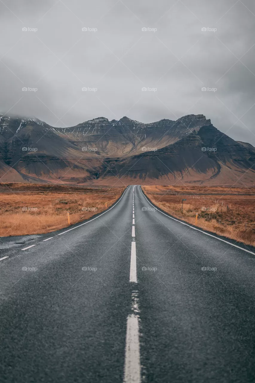 Road trip