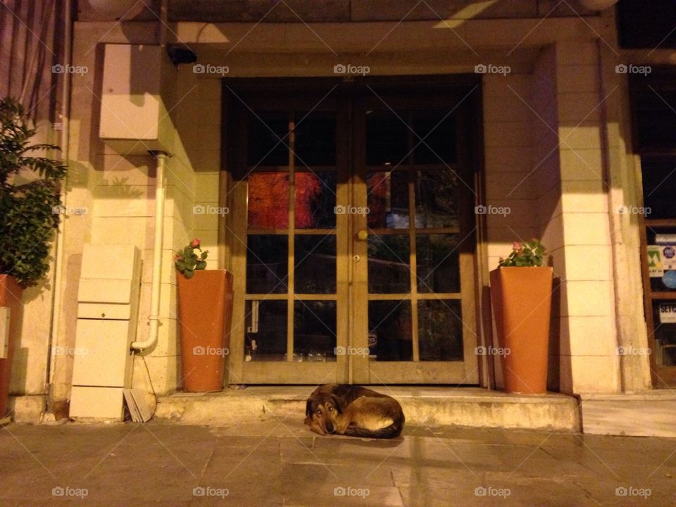 House, Door, Window, Home, Architecture